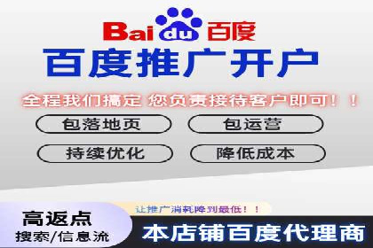 SEM托管公司案例分析：数据驱动决策